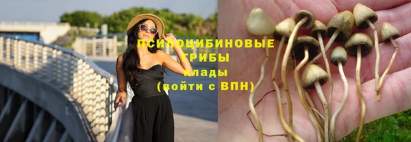 экстази Алзамай