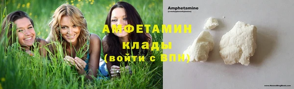шишки Алексеевка
