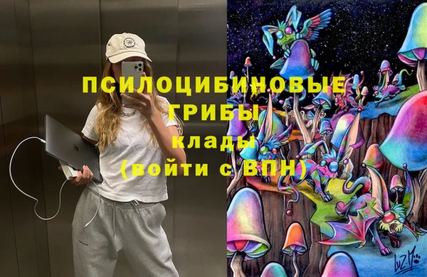 тгк Алексин