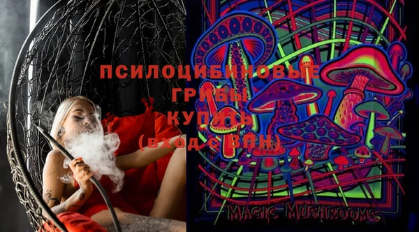 тгк Алексин