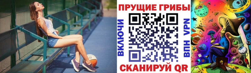 сайты даркнета наркотические препараты Заволжье Галлюциногенные грибы Psilocybine cubensis хочу